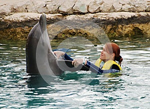 Dancing With Dolphins