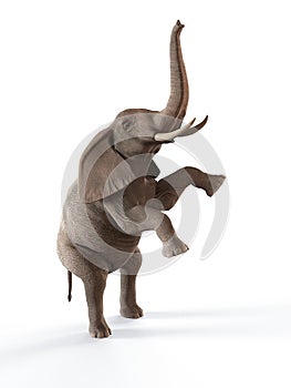 Dancing elephant photo