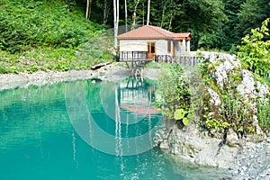 Dancing fish in a crystal clear mountain lake