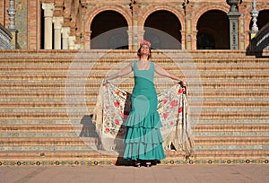 The beautiful girl with the flamenco dress photo