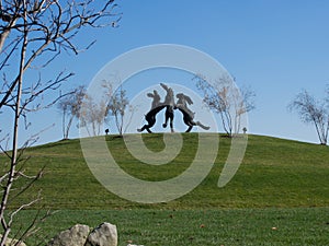 Dancing Hares from Afar