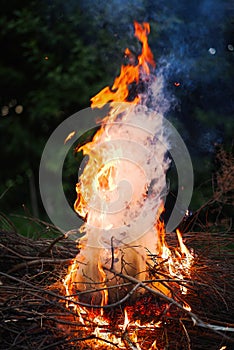 Dancing hot flames making bonfire in the woods