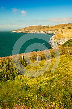 Dancing Ledge Coast Path