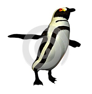 Danza pinguino 