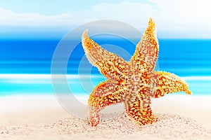 Dancing starfish against the background of the sea shore