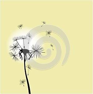 Dandelion