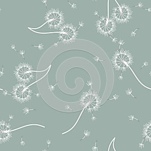 Dandelion background your design. Abstract floral seamless pattern.