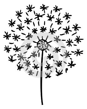 Dandelion black doodle. Fluffy spring flower icon