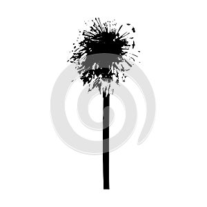 Dandelion Black and White Vector illustration plant