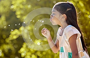 Dandelion blowing, nature and girl outdoor feeling zen and calm in spring with flowers. Young child from Vietnam in a