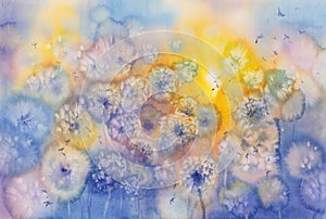 Dandelion clock field watercolor background. Rainbow color