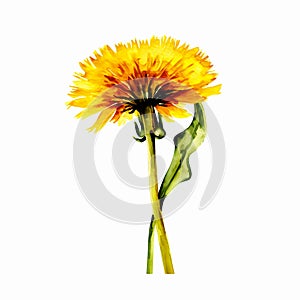 Dandelion Dreams: Watercolor Clipart for a Dreamy Design AI Generated