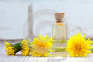Dandelion essential oil in  beautiful bottle on White background