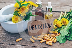 Dandelion extract and homeopathic supplements. Selective focus.