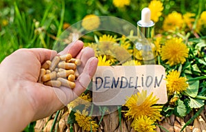 Dandelion extract and homeopathic supplements. Selective focus.