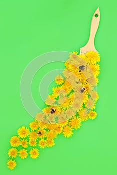 Dandelion Flower Bee Pollination Concept