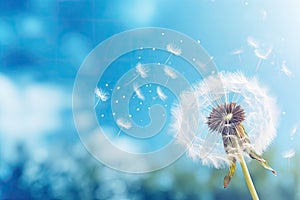 Dandelion flower on blue background with flying seeds, 3d rendering, close up of dandelion on the blue background, AI Generated