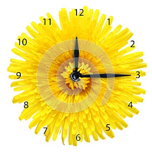 Dandelion flower - clock.