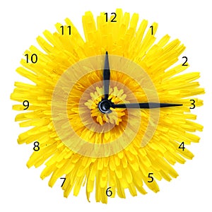 Dandelion flower - clock.