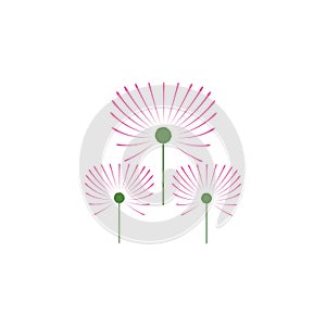 Dandelion flower illustration logo vector