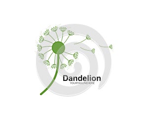 dandelion flower logo icon vector