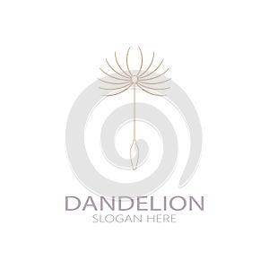 Dandelion flower logo with stem and leaves. Using modern vector concept design symbol icon illustration