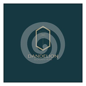 Dandelion flower logo with stem and leaves. Using modern vector concept design symbol icon illustration