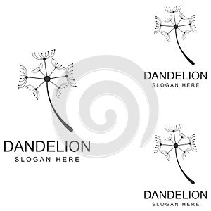 Dandelion flower logo and symbol design vector illustration template