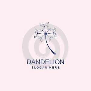 Dandelion flower logo and symbol design vector illustration template