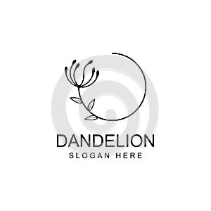 Dandelion flower logo and symbol design vector illustration template