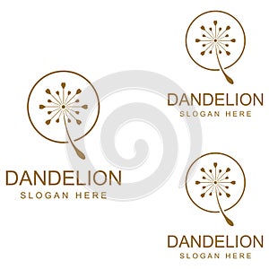 Dandelion flower logo and symbol design vector illustration template