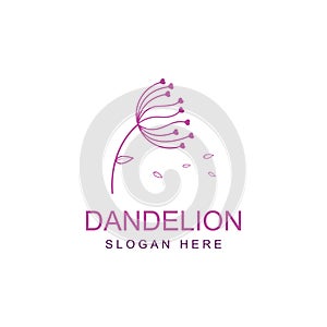 Dandelion flower logo and symbol design vector illustration template