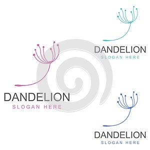 Dandelion flower logo and symbol design vector illustration template