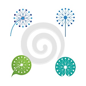 Dandelion flower logo vector