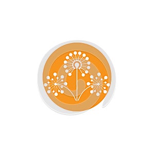 Dandelion flower logo vector