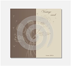 Dandelion flower on a postcard in vintage color with a blank face for your text