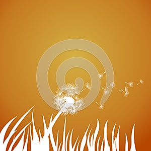 Dandelion Flower Seed Pollen and Grass Illustration