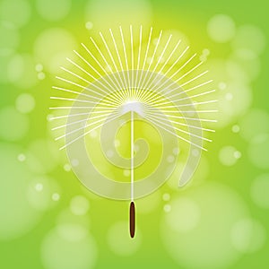 Dandelion Flower vector logo icon on green bokeh