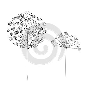 Dandelion flower for your design