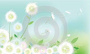 Dandelion Flowers