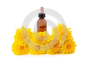 Dandelion flowers and bottle with essence