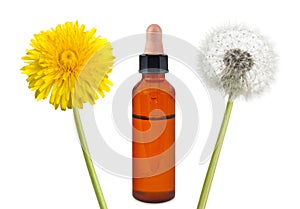 Dandelion flowers and bottle with essence