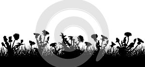 Dandelion flowers in grass, silhouette of field meadow. Vector illustration