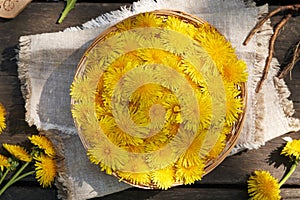 Dandelion flowers in a wicker basket with fresh dandelion root on a table outdoors, top view