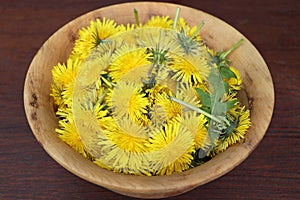 Dandelion flowers in a wooden bowl . Spring or herbalism concept photo