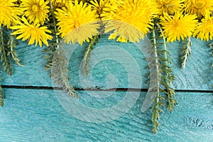 Dandelion flowers on the wooden surface