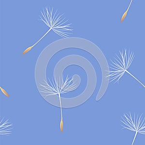 Dandelion fluff on blue seamless pattern. Card with blowball seeds for cover or wrapper. Textile design texture. Nature