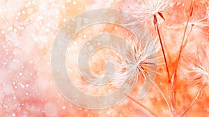 Dandelion fluff with trendy pastel Peach colors. Watercolor illustration. Abstract fashionable background. Concept of