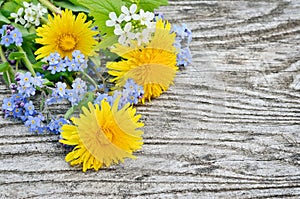 Dandelion and forget-me on a wooden background