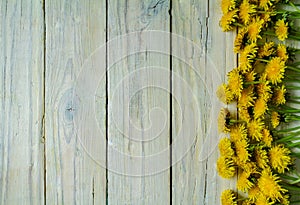 Dandelion frame on white rustic wood background